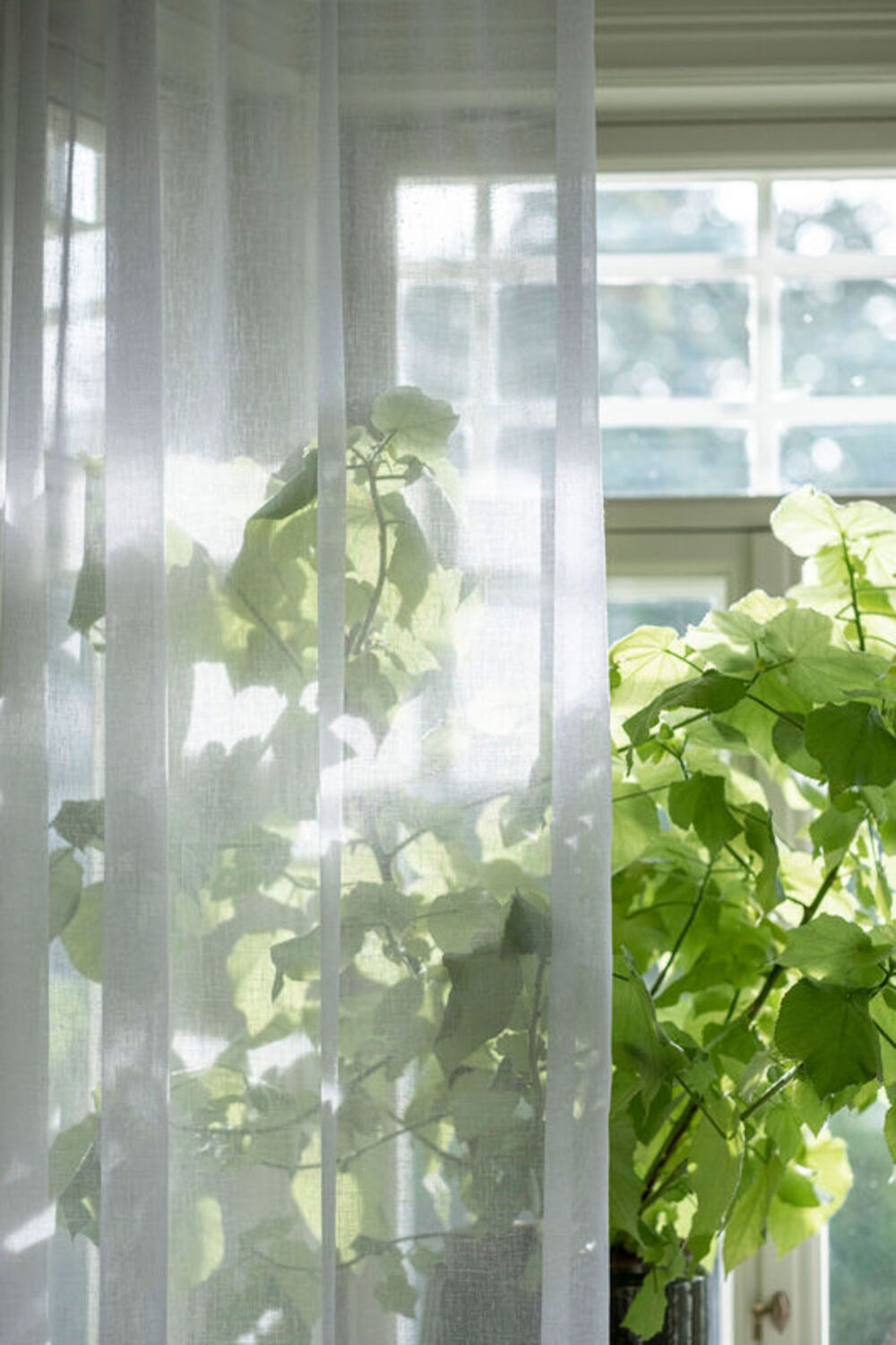 Tunn gardin 100 % återvunnet polyster-Furan